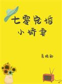 七零寵妻記 小說封面